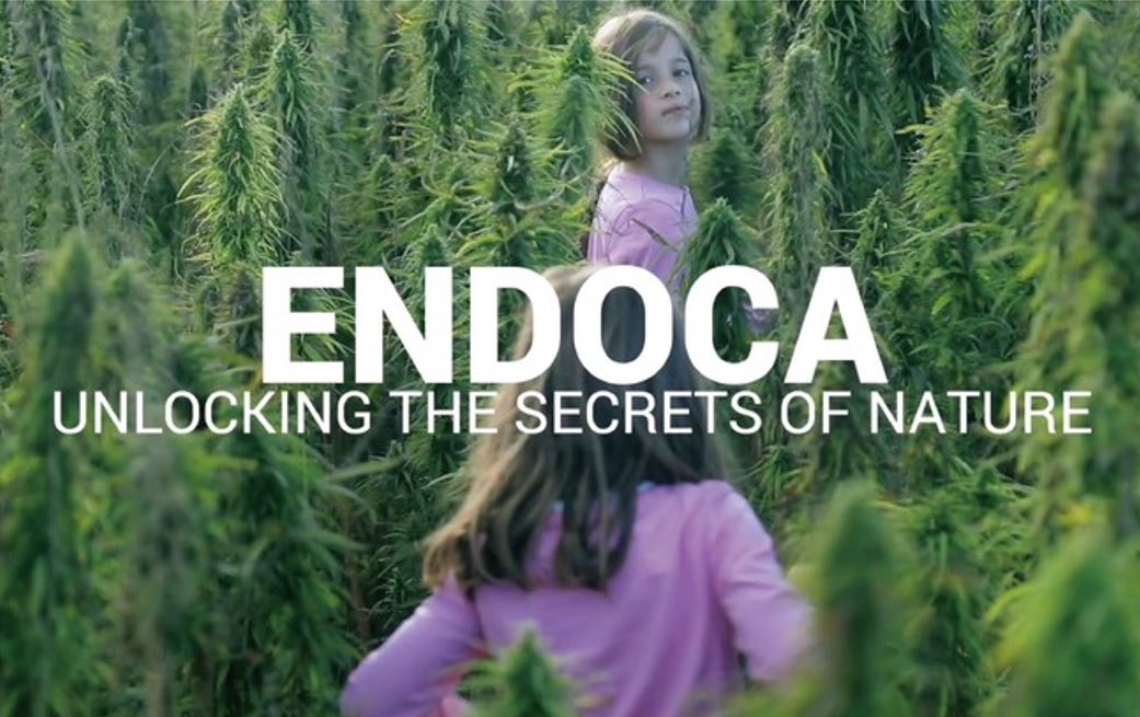 【重要】ENDOCA（エンドカ）全製品の価格改定と既存会員様への対応について