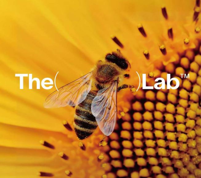 ビーマイン リカバリーバーム CBD200mg-2