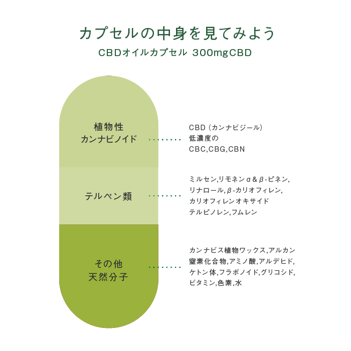 エンドカ CBDカプセル CBD50mg 5錠-2