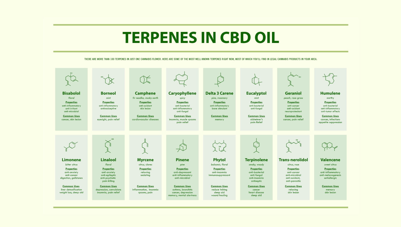 terpenes cbd oil